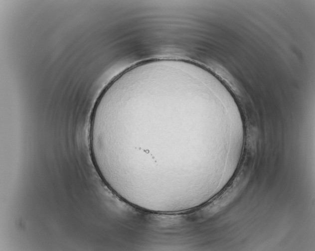 X0000113220856200909171553