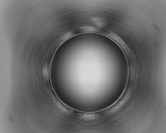 X0000113220857200909171553