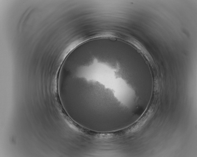 X0000113220858200909171553