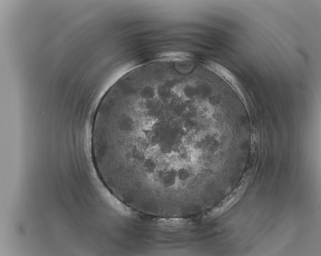 X0000113220859200909171553