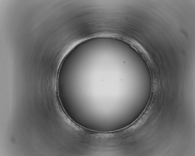 X0000113220860200909171553