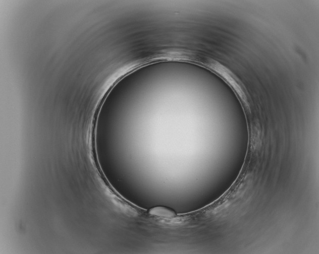 X0000113220861200909171553