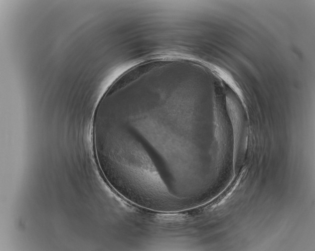 X0000113220863200909171553