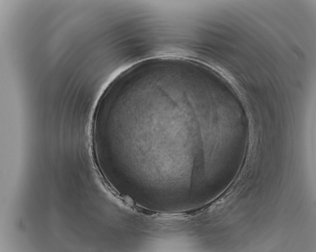 X0000113220864200909171553