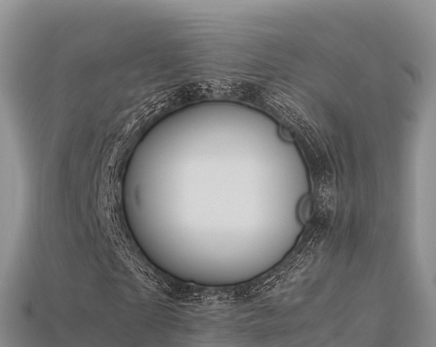 X0000113220865200909171553