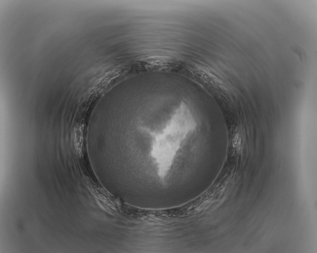 X0000113220868200909171553