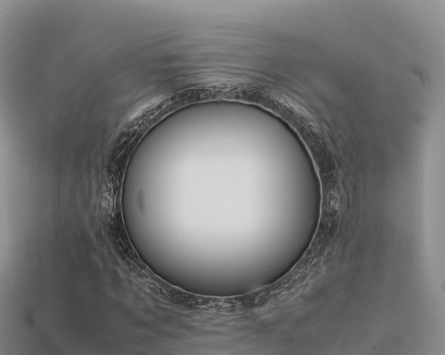 X0000113220869200909171553