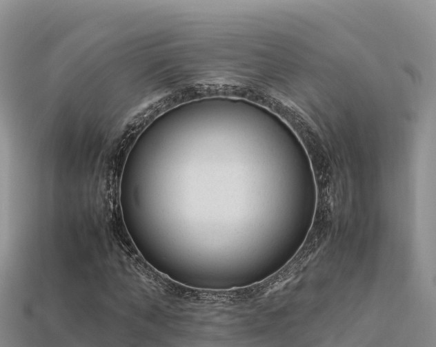 X0000113220870200909171553