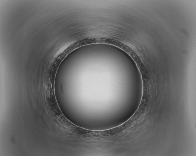 X0000113220871200909171553