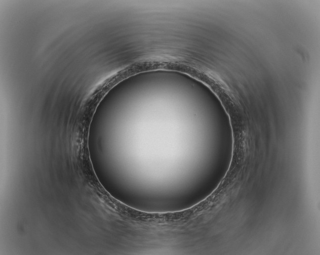 X0000113220872200909171553