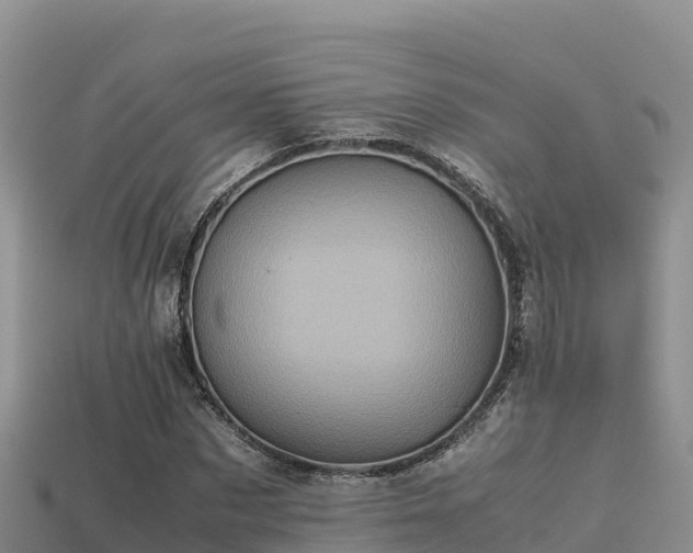 X0000113220873200909171553