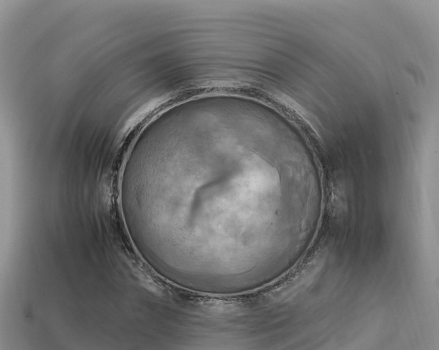 X0000113220874200909171553