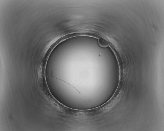 X0000113220875200909171553