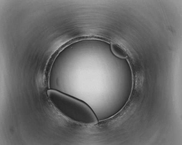 X0000113220876200909171553