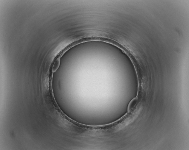 X0000113220877200909171553