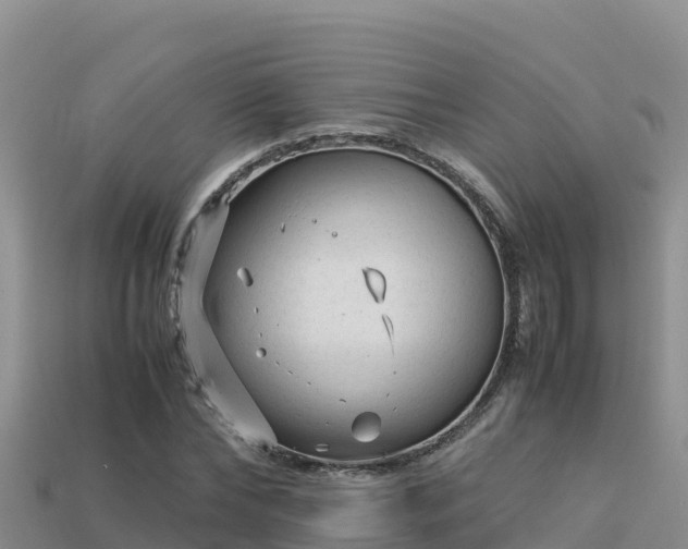 X0000113220878200909171553