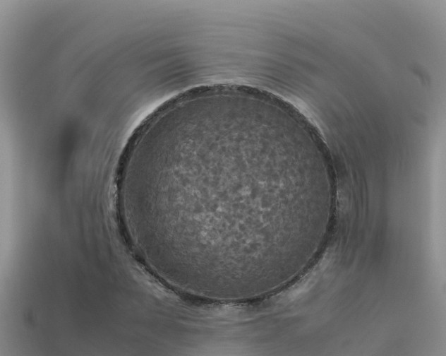 X0000113220879200909171553