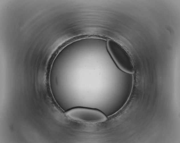 X0000113220880200909171553