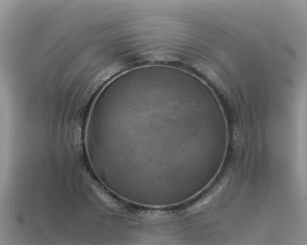 X0000113220881200909171553