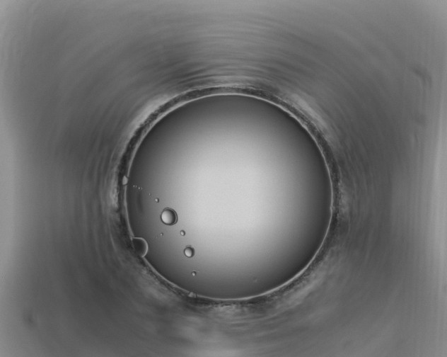 X0000113220883200909171553