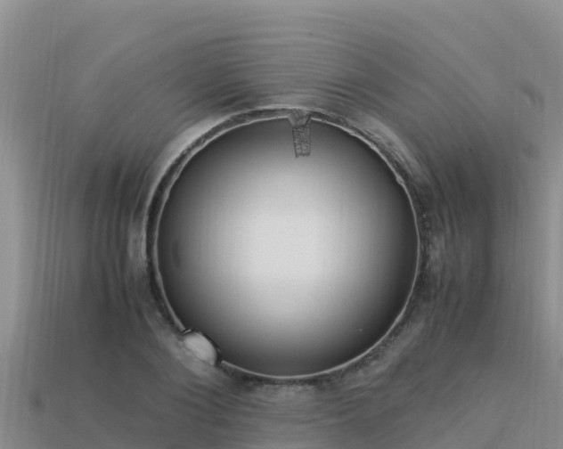 X0000113220884200909171553