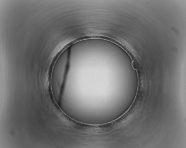 X0000113220885200909171553