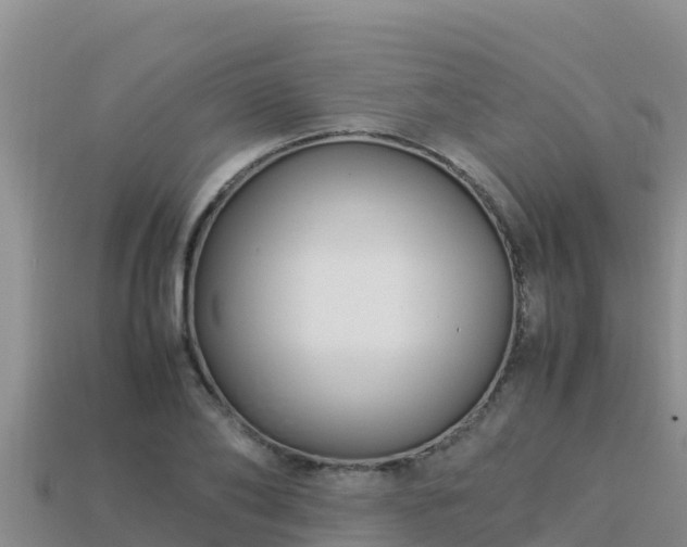 X0000113220886200909171553