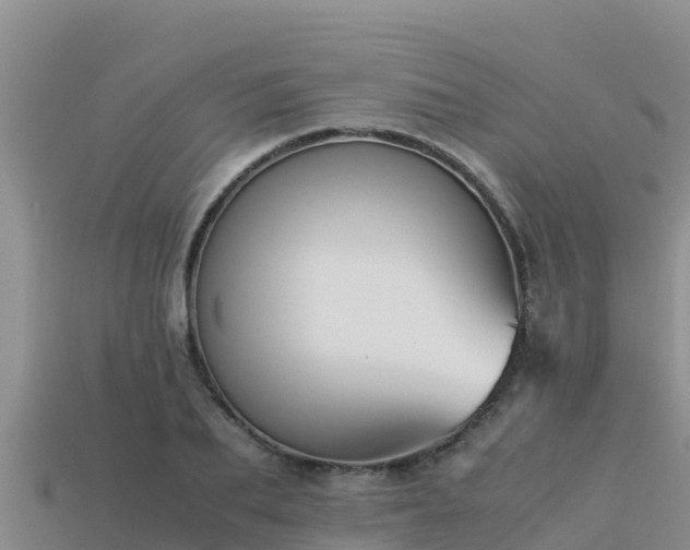 X0000113220887200909171553