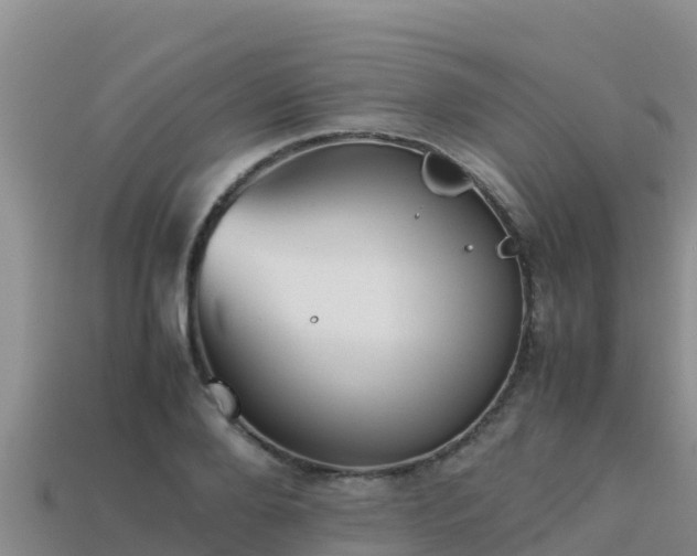 X0000113220888200909171553