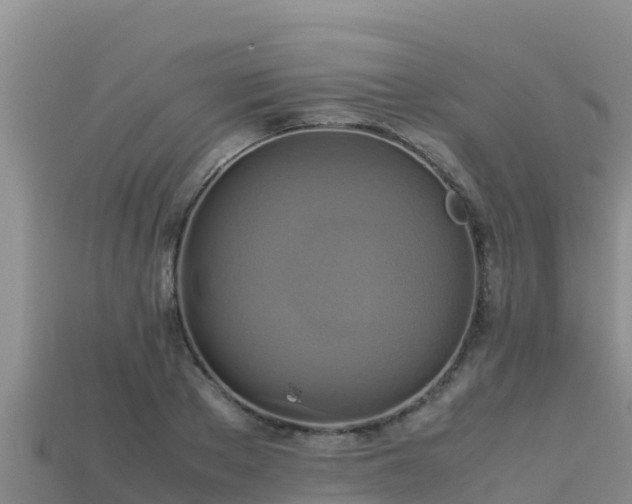 X0000113220889200909171552