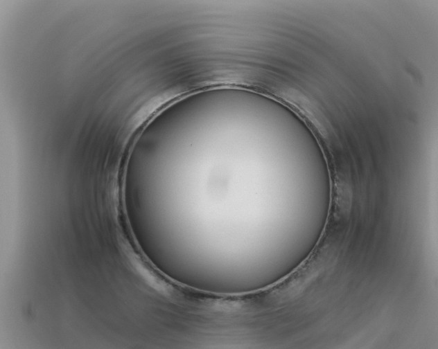 X0000113220890200909171552