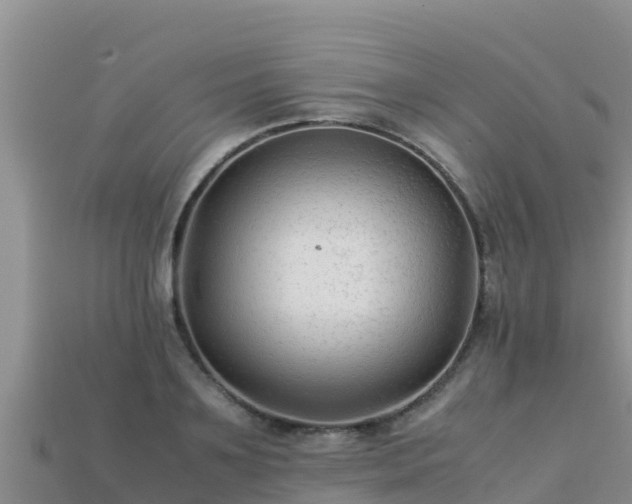 X0000113220891200909171552