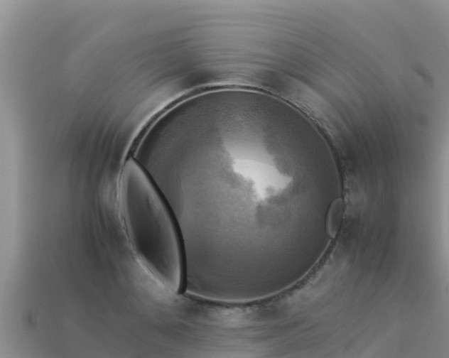 X0000113220892200909171552