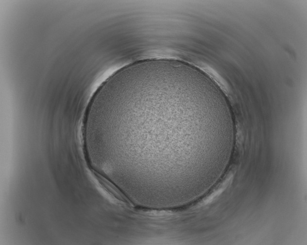 X0000113220893200909171552