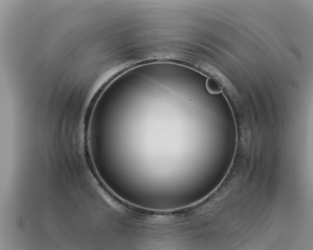 X0000113220894200909171552