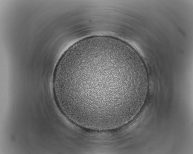 X0000113220895200909171552