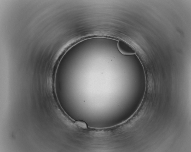 X0000113220896200909171552