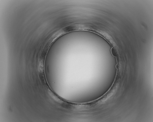 X0000113220897200909171552