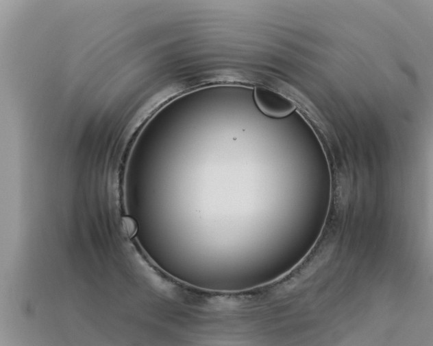 X0000113220898200909171552