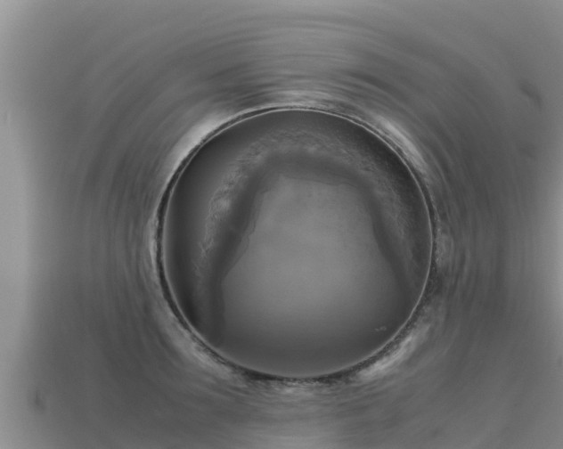 X0000113220899200909171552