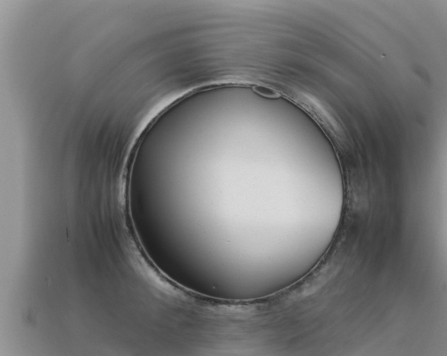 X0000113220900200909171552