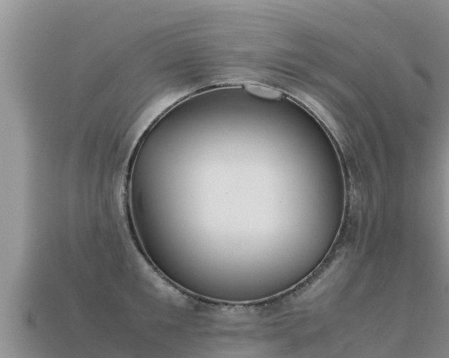 X0000113220901200909171552