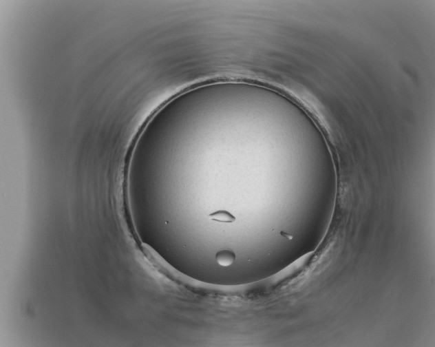 X0000113220903200909171552