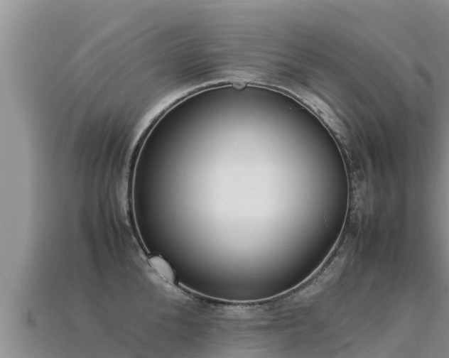 X0000113220904200909171552