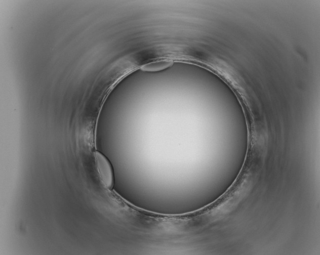 X0000113220905200909171552