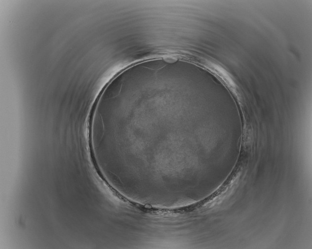 X0000113220907200909171552