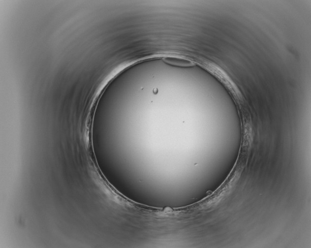 X0000113220908200909171552