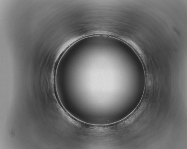 X0000113220910200909171552