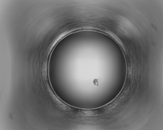 X0000113220911200909171552