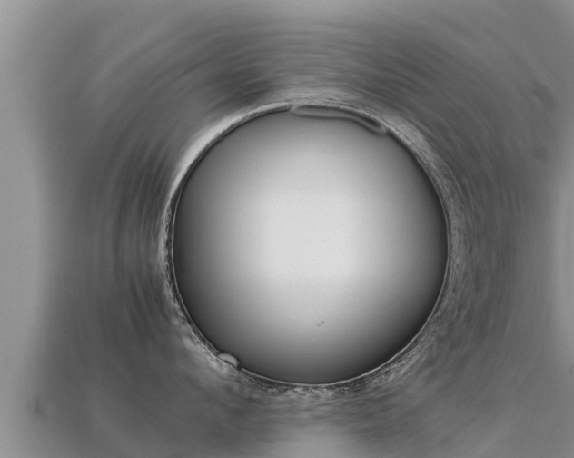 X0000113220912200909171552